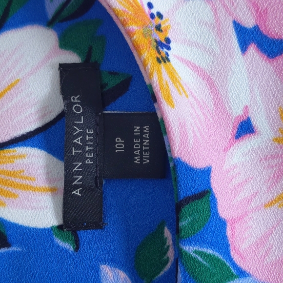 *Host Pick* Gorgeous Ann Taylor Dress size 10Petite - Picture 9 of 9